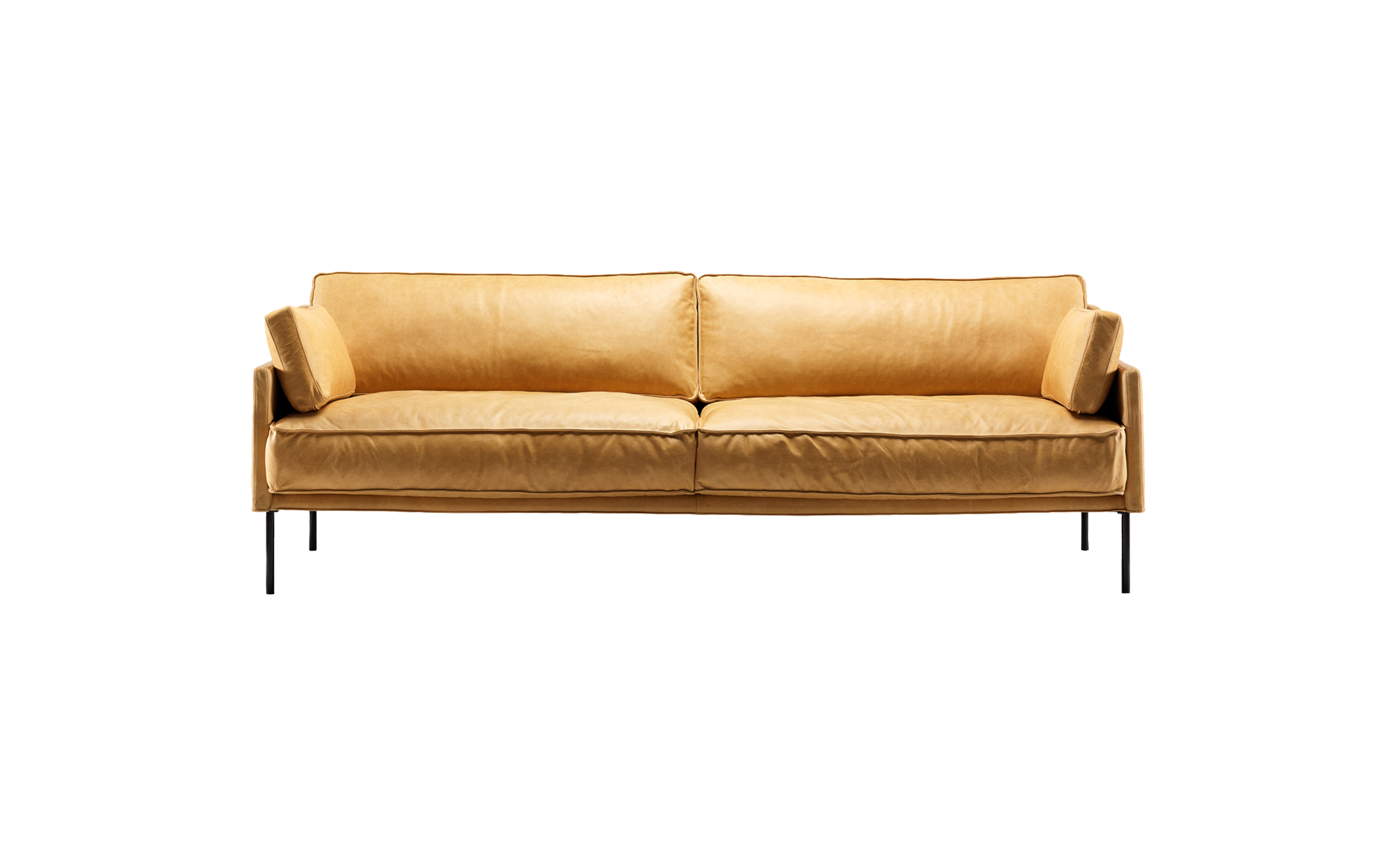 Dini 2.5 Seater Sofa by Fogia